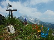55 Genepi di vetta !
